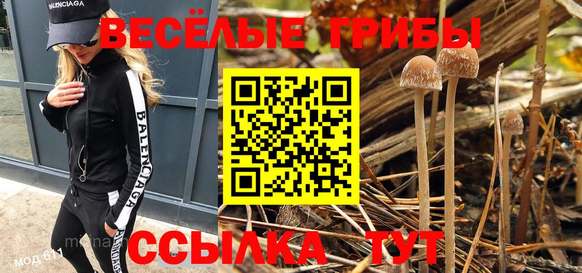 Белая Калитва  Псилоцибиновые грибы мухоморы  Вход с VPN  Галлюциногенные грибы Psilocybine cubensis 